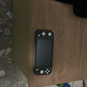 Nintendo Lite